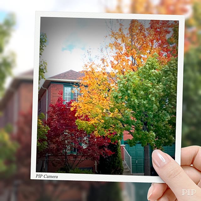 Sherryさんの実例写真