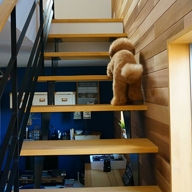reiさんの実例写真