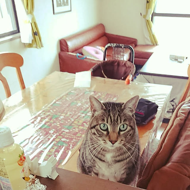 CHIBIさんの実例写真