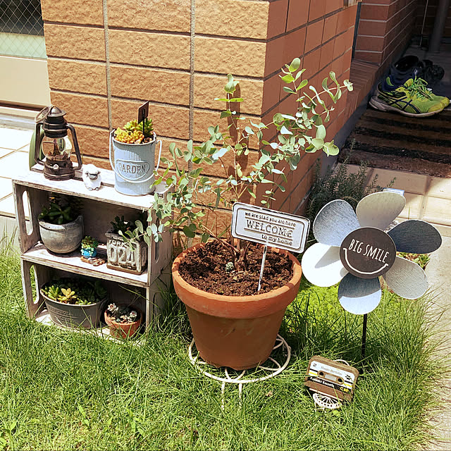 komechiechanさんの部屋