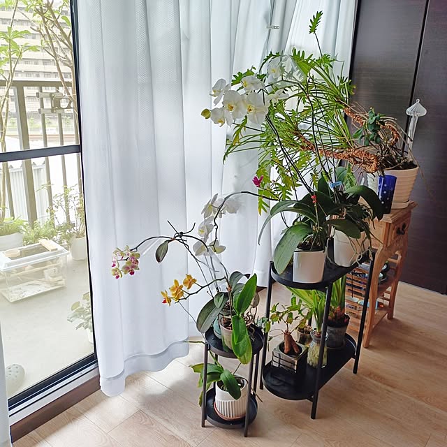 reko639さんの実例写真