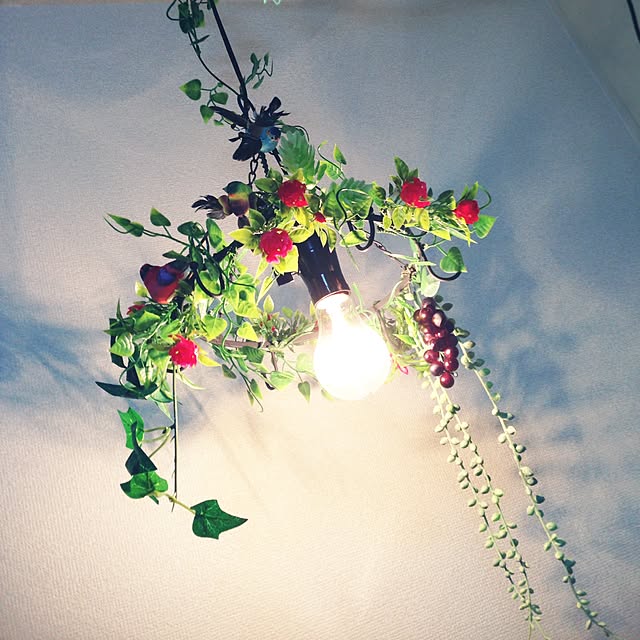 RUI-Stmさんの実例写真
