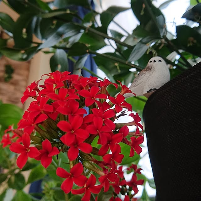 NOAHさんの実例写真