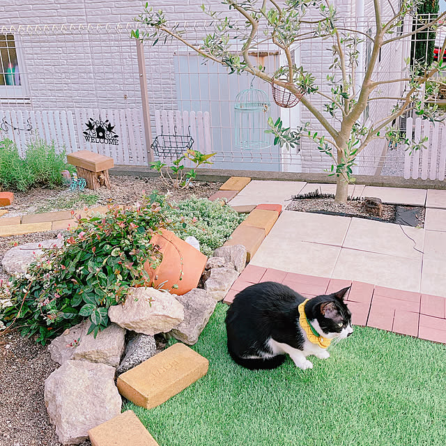 moolさんの部屋