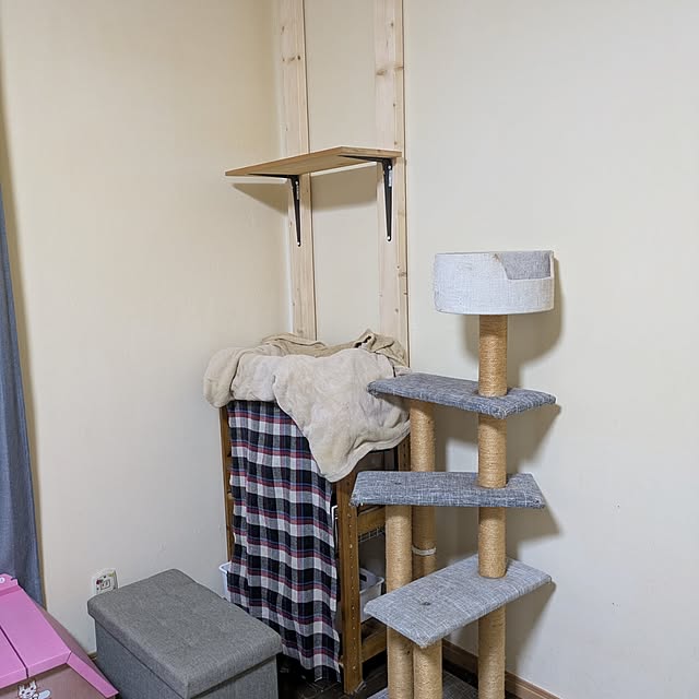 asaさんの実例写真