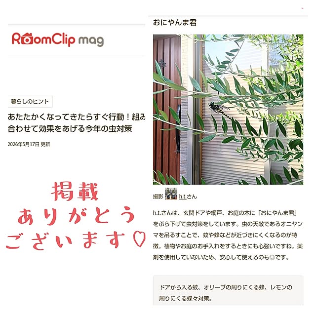 実例写真