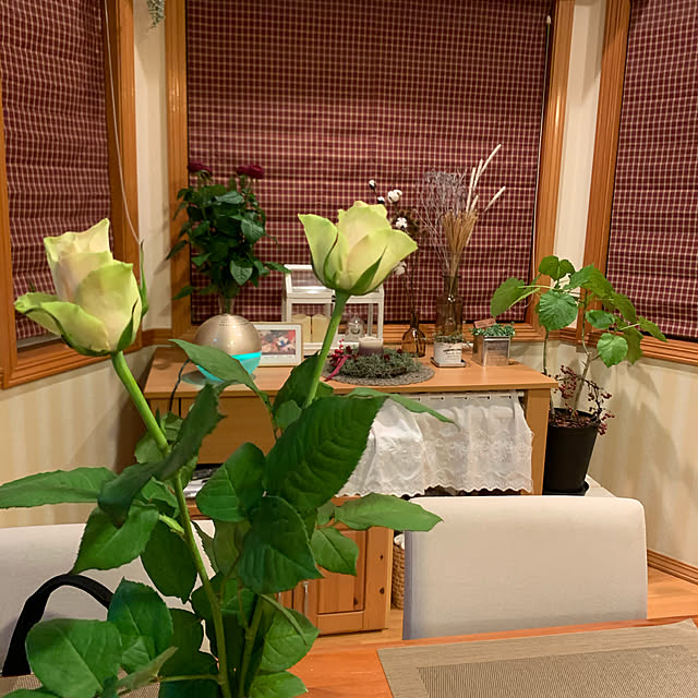 cocoaさんの実例写真