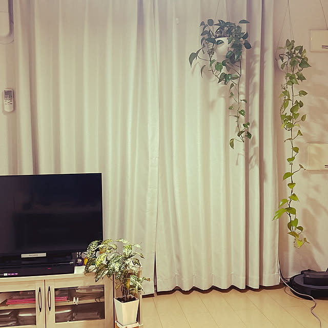 keiさんの実例写真