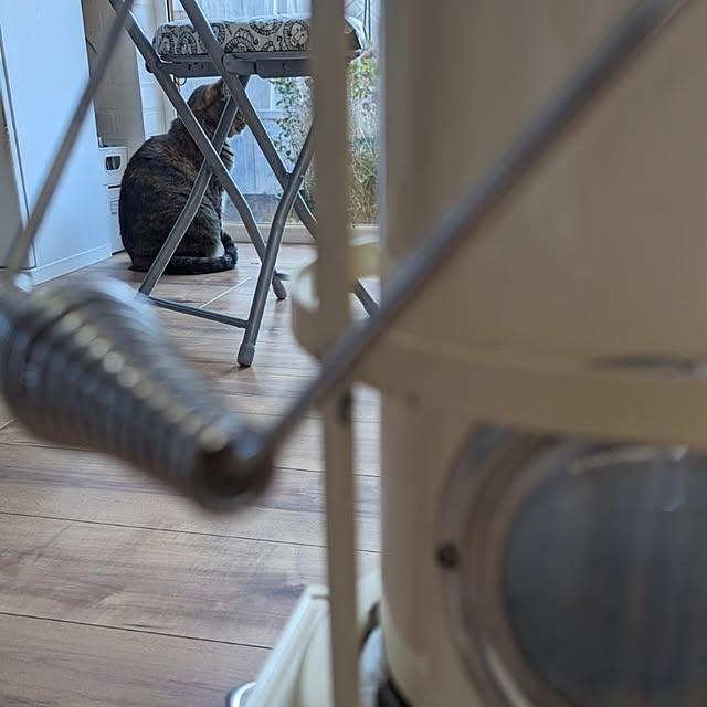mamimamipockyさんの部屋