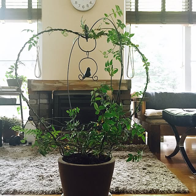 tomowithdogさんの実例写真