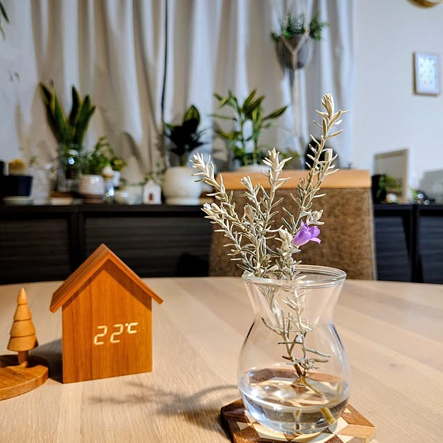 coconathuさんの実例写真