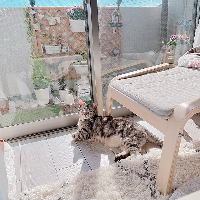 tina_sa_0さんの実例写真