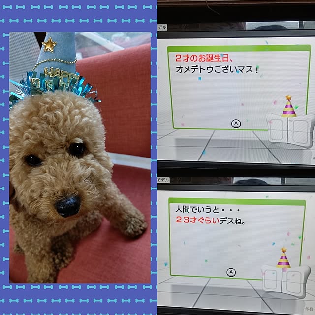 yumirinさんの部屋