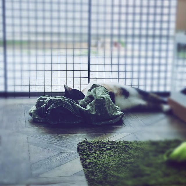 maroさんの実例写真