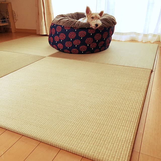 she.さんの実例写真