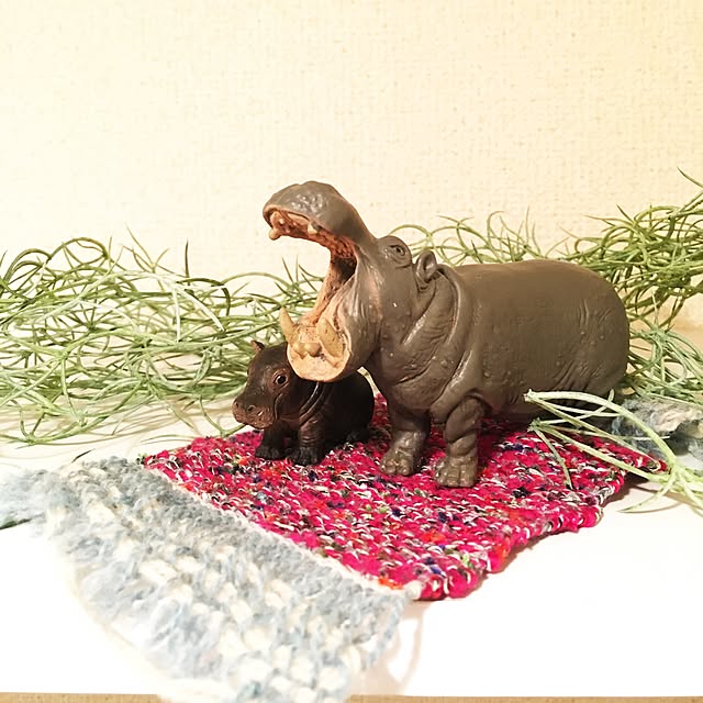 sadaさんの実例写真