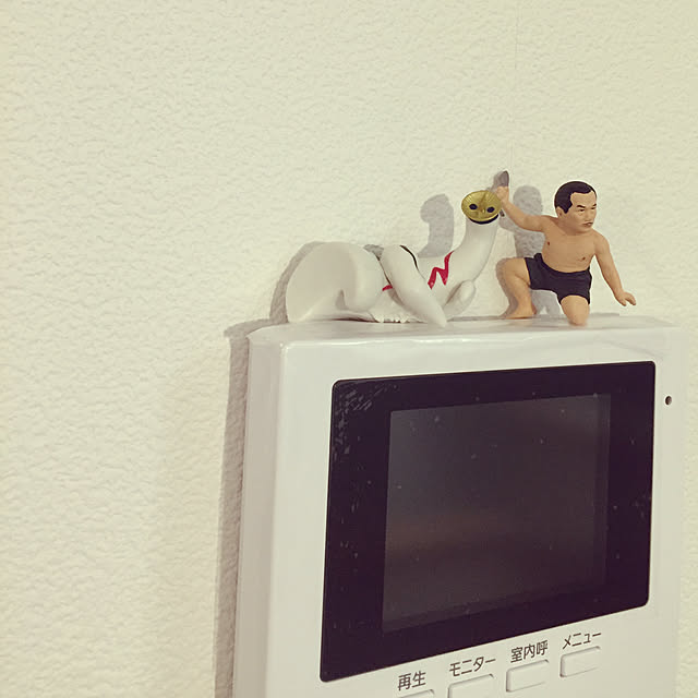 robi_tntmさんの実例写真