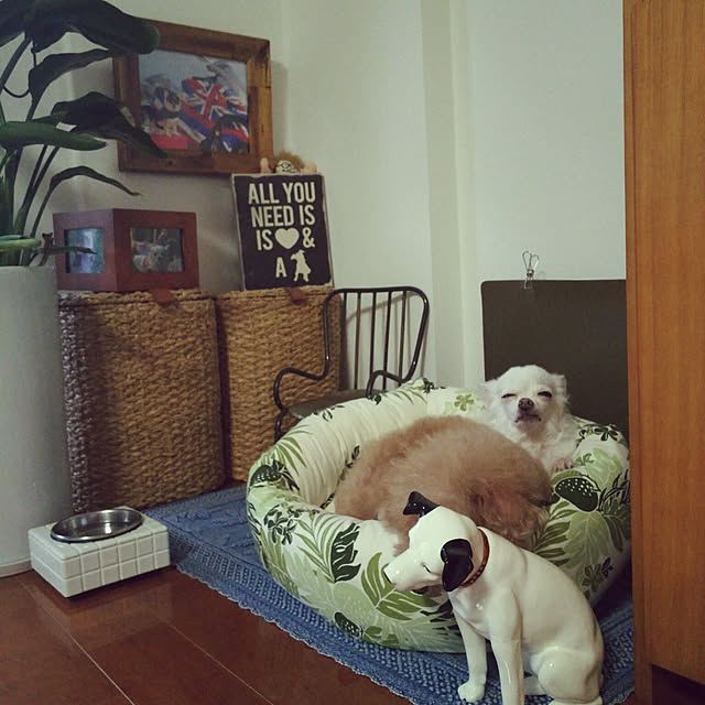 mananaさんの実例写真