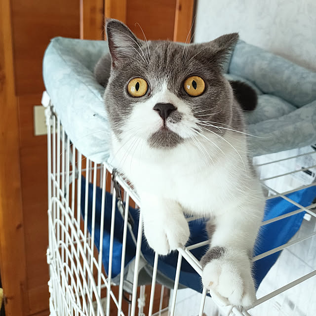 KEIKOさんの実例写真