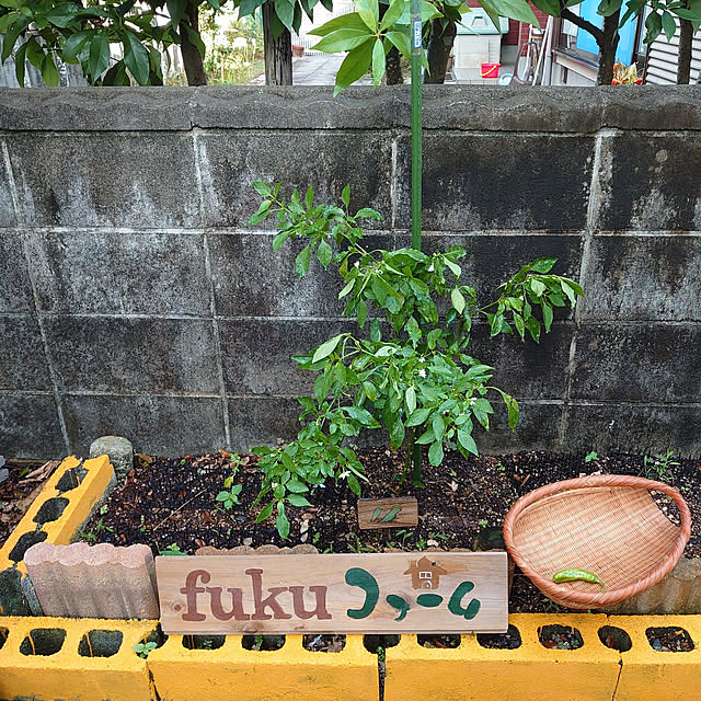 fukuさんの実例写真