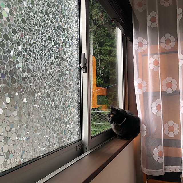 mutsuさんの実例写真