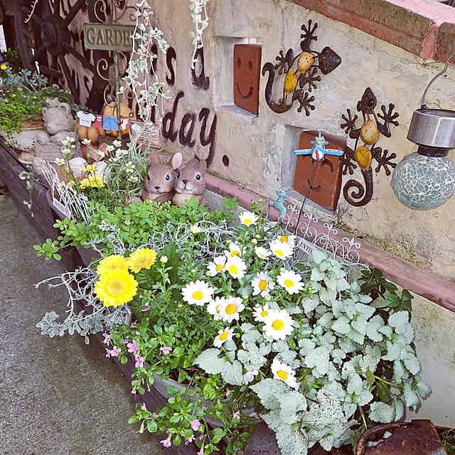 mocomocoさんの部屋