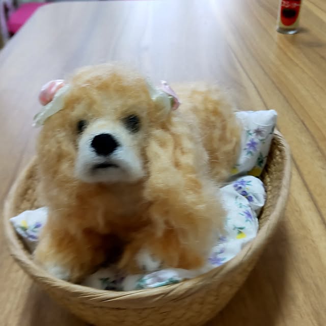 ruri8888さんの部屋