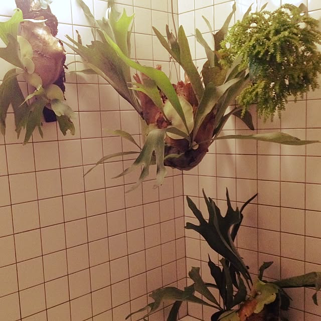 uni0609さんの実例写真