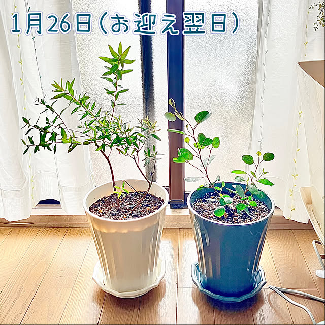 kagomamaさんの部屋