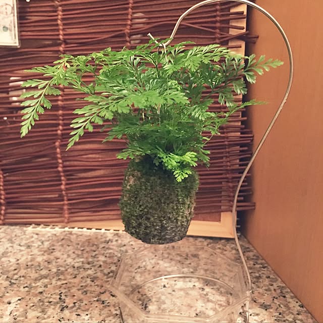 mizukawaumiさんの実例写真