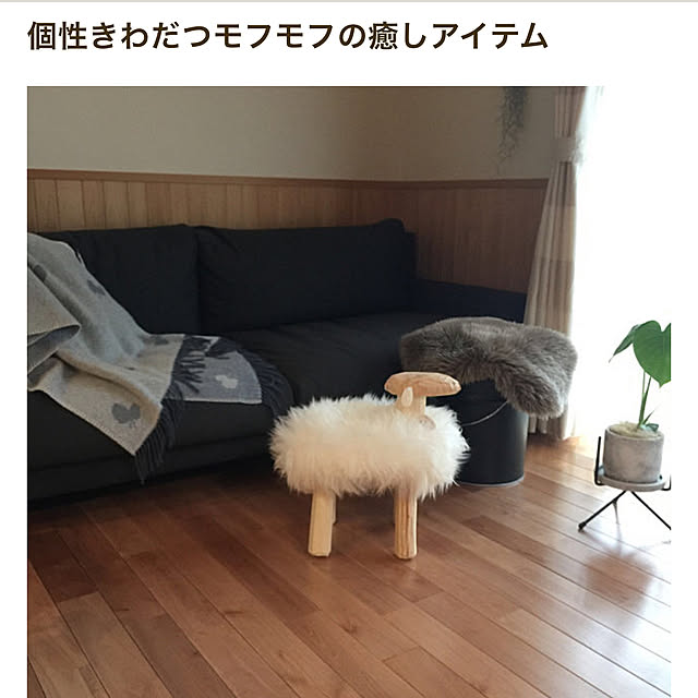 sorasoraさんの実例写真