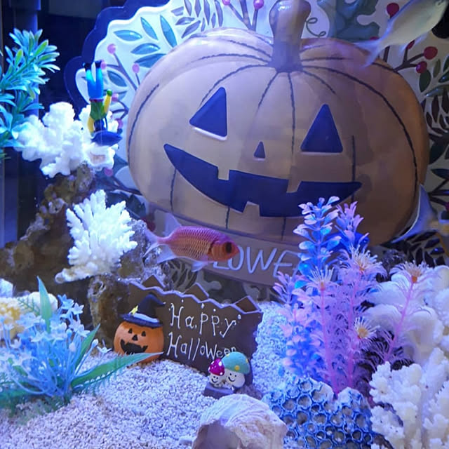 nanaさんの実例写真