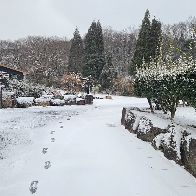 Rubiconさんの実例写真