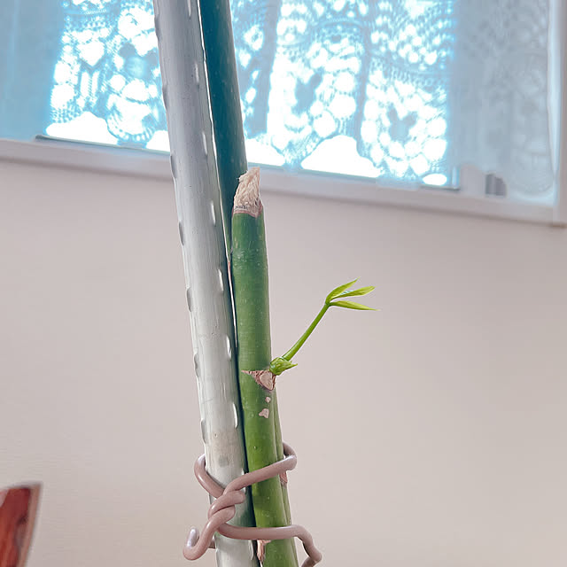 akiko-ovさんの部屋