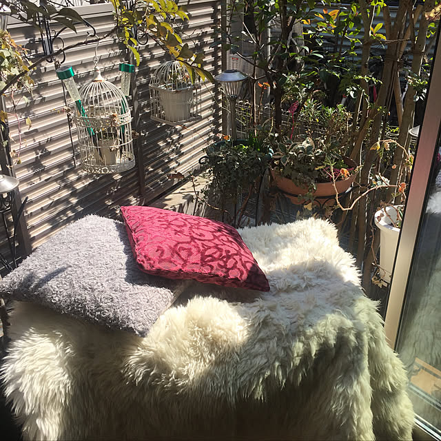 fu-mufumuさんの実例写真