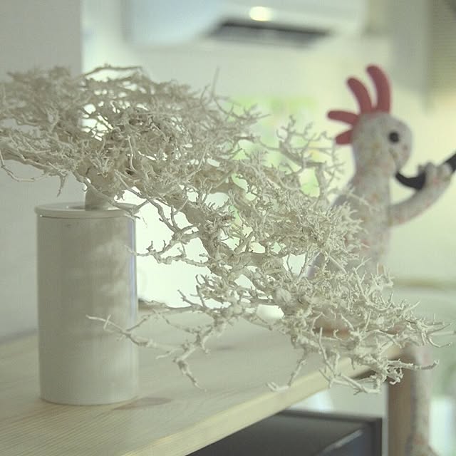 uresikaさんの実例写真