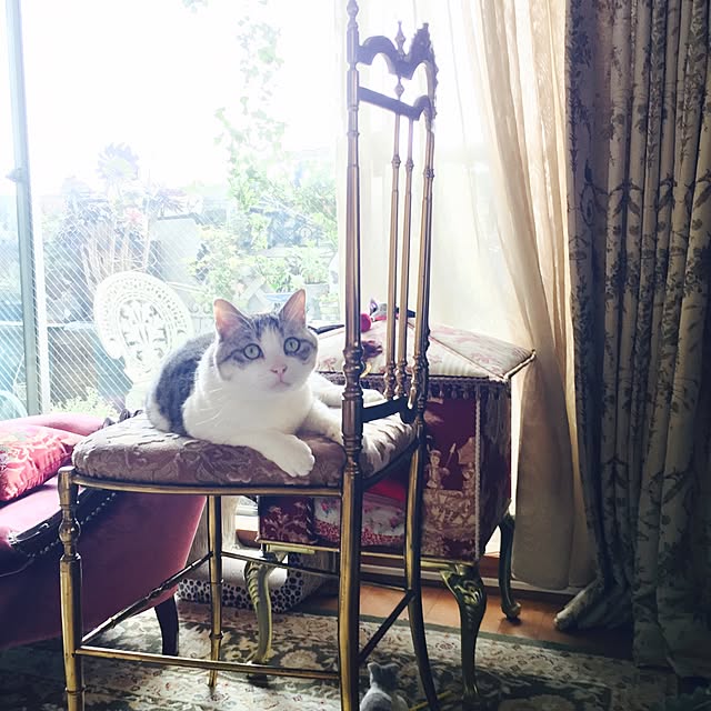 emmyyさんの実例写真