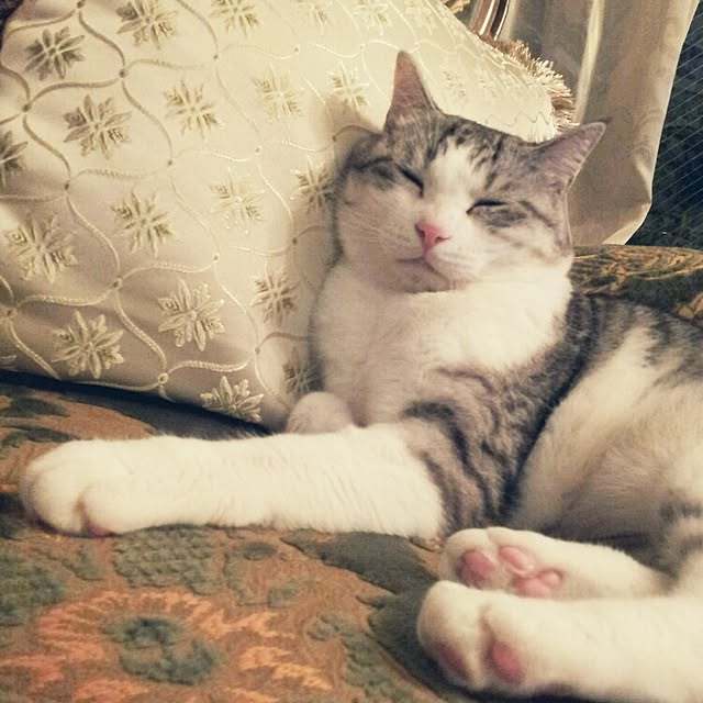 emmyyさんの実例写真