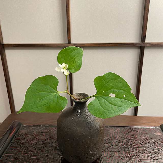 mamizaさんの実例写真