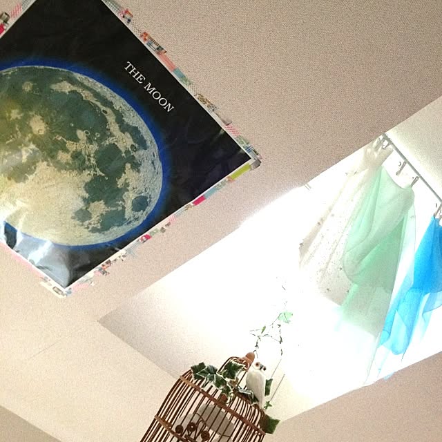 kinoko8oさんの実例写真