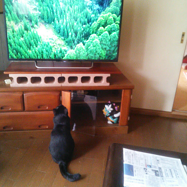 Tomopさんの実例写真