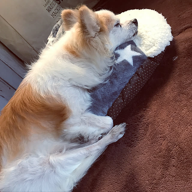 seroriさんの実例写真