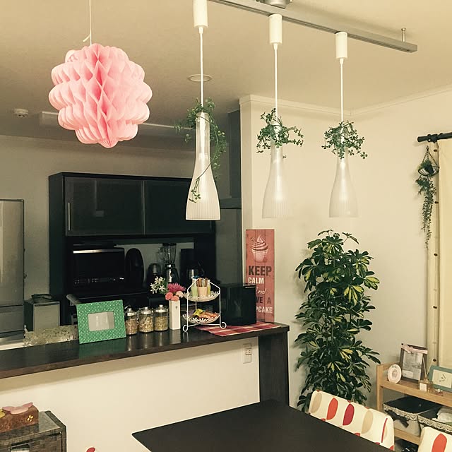 Mikaさんの実例写真