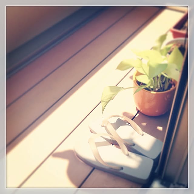 itoさんの実例写真