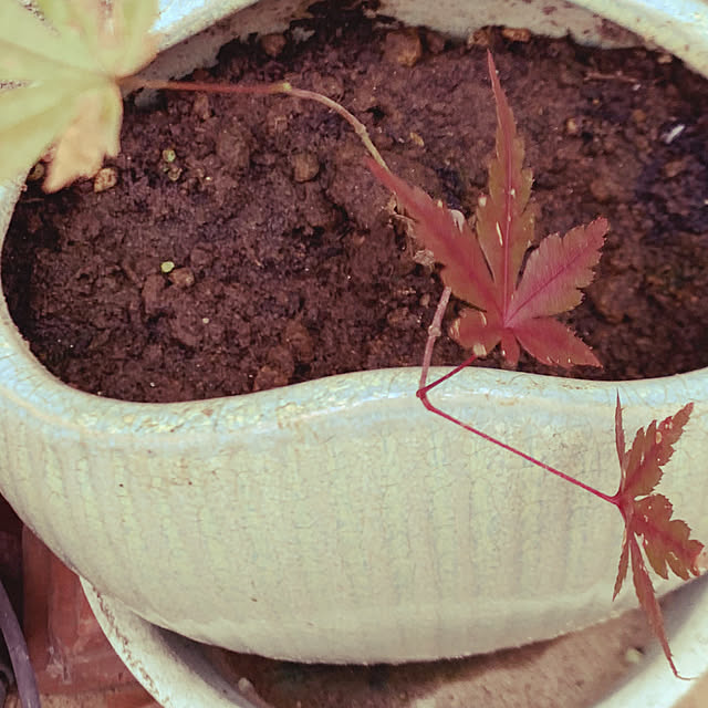 KYONさんの部屋