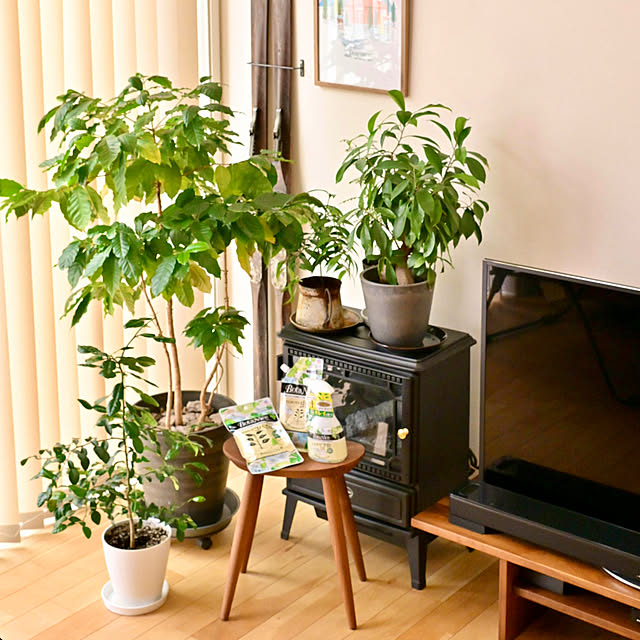 mikigumaさんの部屋