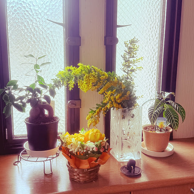 hiratchiさんの実例写真