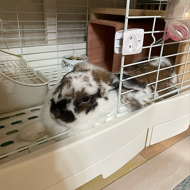 snowさんの実例写真