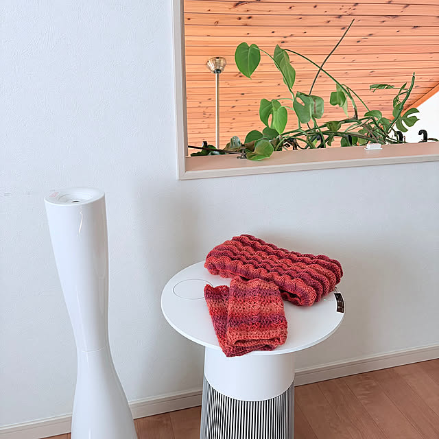 Momoさんの実例写真