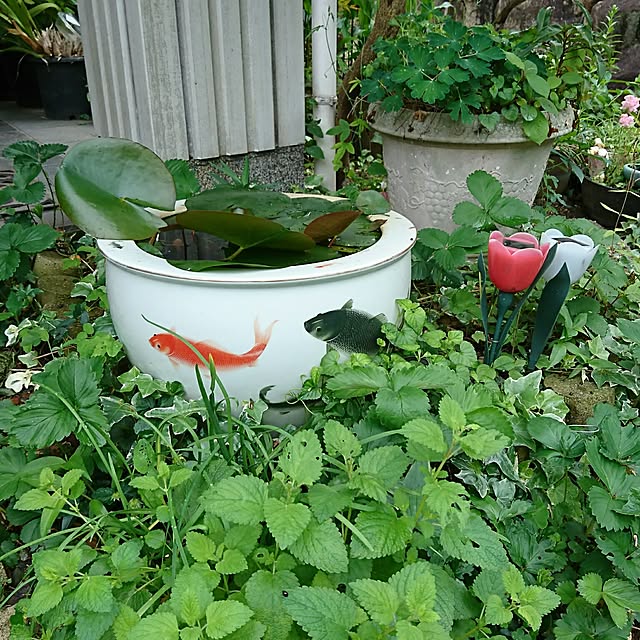 yuukyさんの実例写真